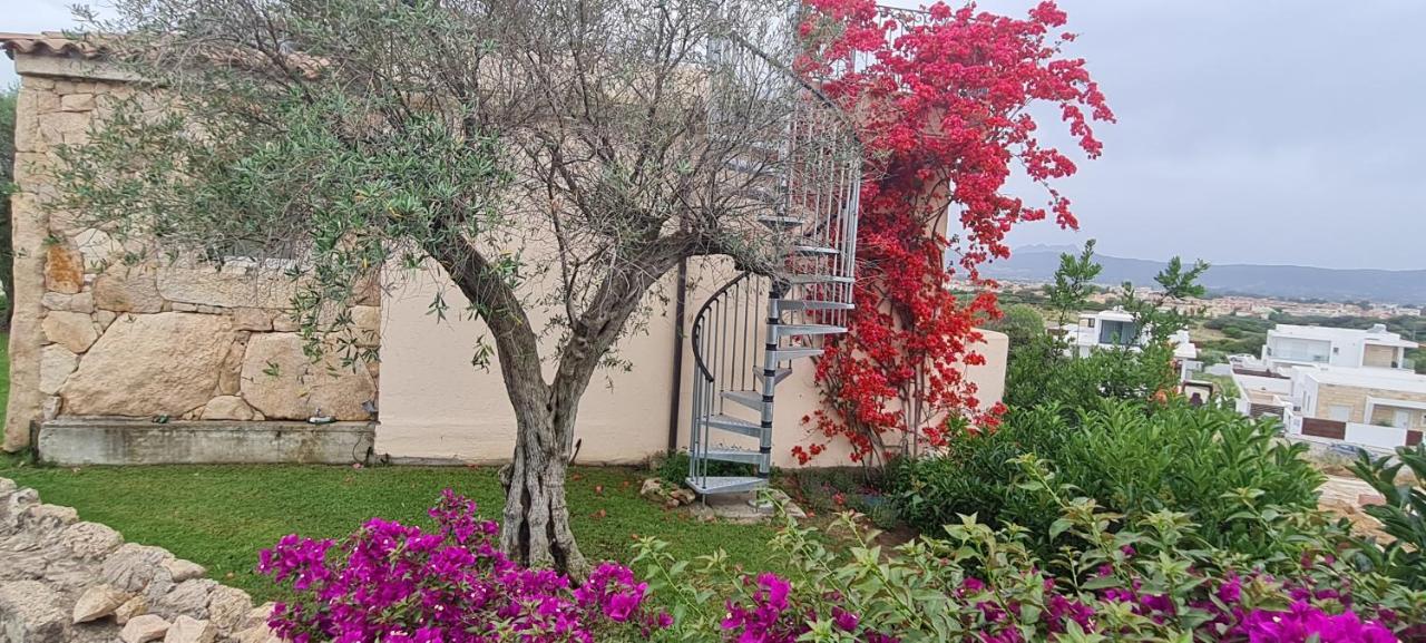 Suite Deluxe Olbia Which Wonderful View Dış mekan fotoğraf
